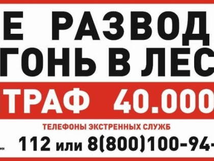 Главное управление лесами Челябинской области напоминает о соблюдении правил пожарной безопасности в лесу