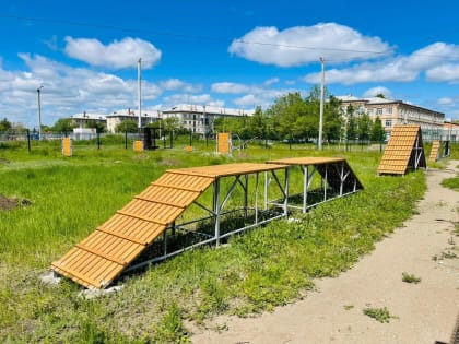 За ФОКом завершают оборудование площадки для выгула собак