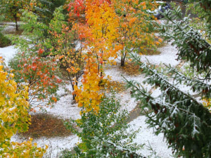 Ночью на Южном Урале установились минусовые температуры