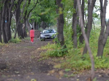 Челябинцы выбрали семь крупных объектов благоустройства в следующем году