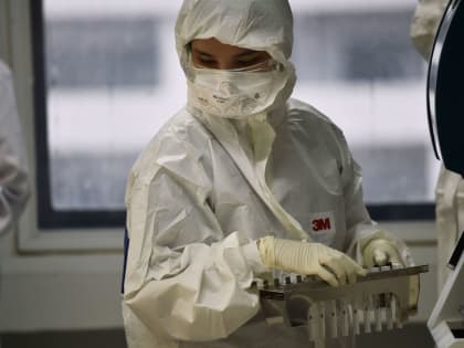 О заболеваемости на 24 января