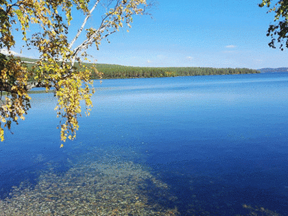 Осень усиливает натиск: температура воздуха на Южном Урале стремительно понизится