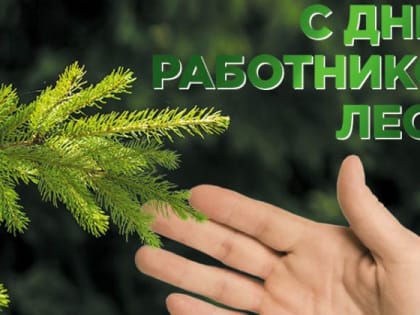 Поздравление с Днём работников леса губернатора Челябинской области Алексея Текслера