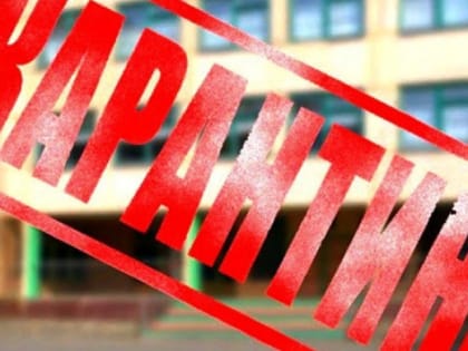 Челябинских школьников начали отправлять на карантин из-за эпидемии гриппа