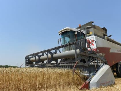 Частичная мобилизация не повлияла на уборочную кампанию в нашем регионе