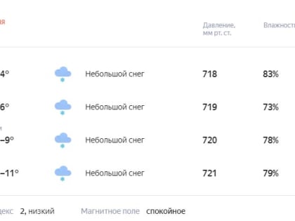 Завтра пойдет снег