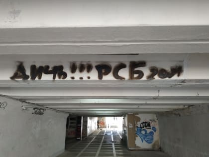 Подземная «дичь» Челябинска