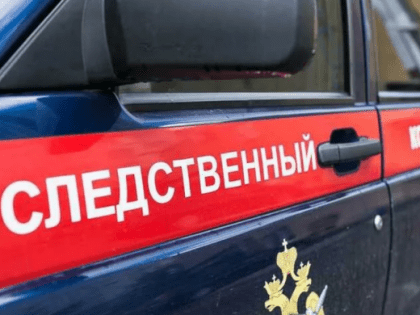 На Южном Урале 2 полицейских осуждены за присвоение ₽150 тыс.
