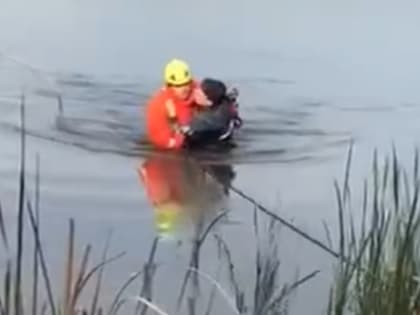 «Зашла в воду и отказывалась выходить»: в Троицке женщина решила открыть купальный сезон, но доставать ее из воды пришлось спасателям