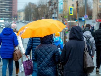 В Челябинской области ожидается дождь и мокрый снег
