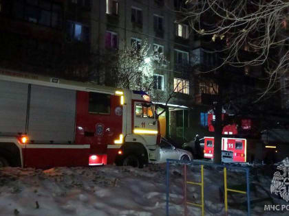 СК назвал предварительную причину пожара, в котором погибли женщина и девочка