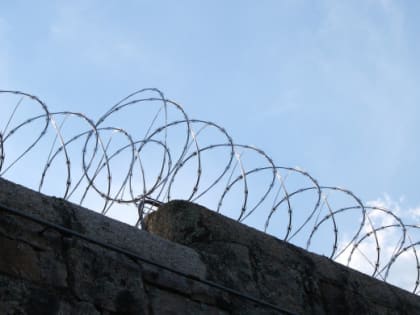 Челябинские полицейские раскрыли интернет-мошенничество, от которого пострадали 52 человека