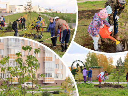 В микрорайоне «Белый хутор» провели зелёную кампанию, высадив 40 саженцев деревьев и кустарников