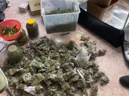 Более 1,5 кг марихуаны и 26 кустов конопли изъяли у челябинца