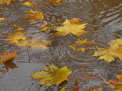 Прогноз погоды на ближайшие дни