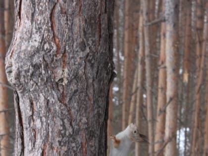 Почти четыре тысячи южноуральцев получили льготные путевки на санаторно-курортное лечение в 2022 году