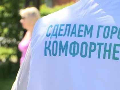 Более тысячи южноуральцев станут волонтерами голосования для создания комфортной городской среды