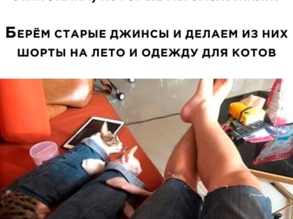 Коротюльки. Юмор на выходные