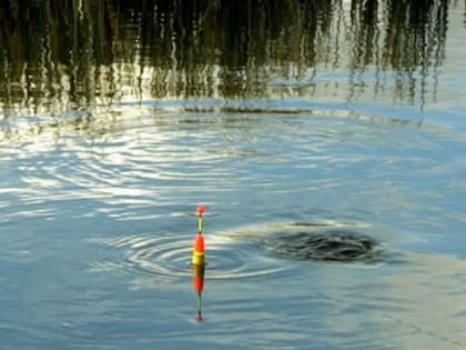 Аргазинское водохранилище предлагается освободить от рыбохозяйственной нагрузки