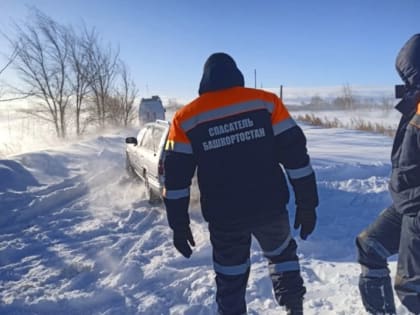 Пожилая пара с внуком оказались в снежном плену