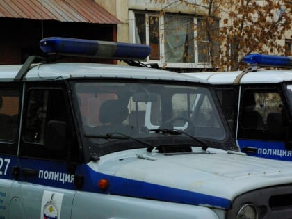 Ситуацией с избиением девочки в «Уральских зорях» занялись правоохранительные органы