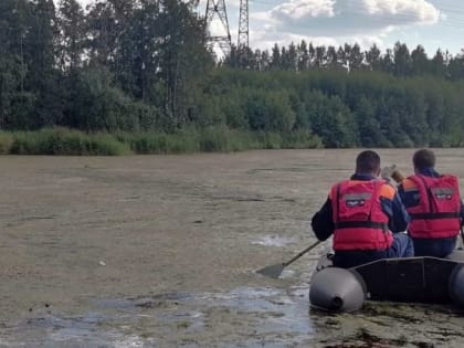 В Челябинской области спасатели искали пропавших южноуральев