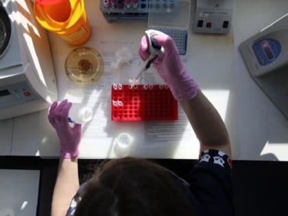 Врач-гематолог — о четырёх шагах к инновационному лечению рака крови в Челябинске