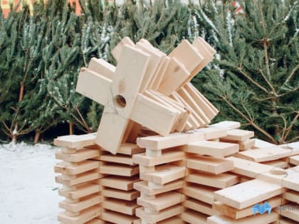 Есть первые нарушители. В Магнитогорске полиция проверяет продавцов хвойных деревьев