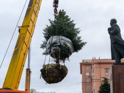 На площади Революции в Челябинске высадили новые ели