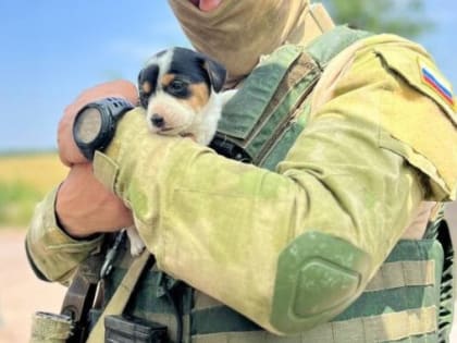 РОДИТЕЛЬСКОЕ СПАСИБО ЗА ПОМОЩЬ
