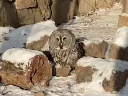 Анонсы событий и мероприятий на седьмое марта (18+)