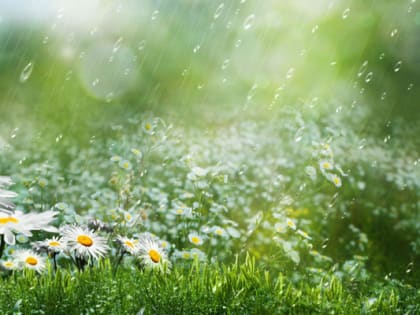 Прогноз погоды на ближайшие дни