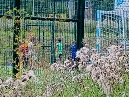 Дети активно занимаются спортом на площадке у школы 25