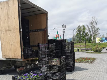 Читатели пишут №1737