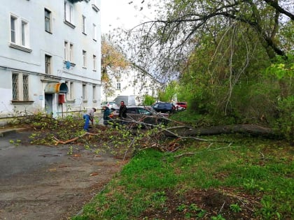 Повезло, что никто не пострадал