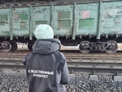 Следственный комитет приступил к проверке обстоятельств смертельной аварии с «Орланом»