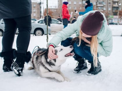 Магнитогорские собаководы просят выделить им места для выгула питомцев