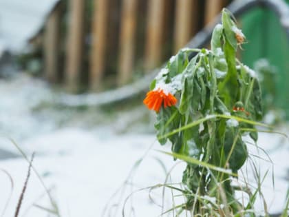 В Челябинскую область вернётся мокрый снег с дождём