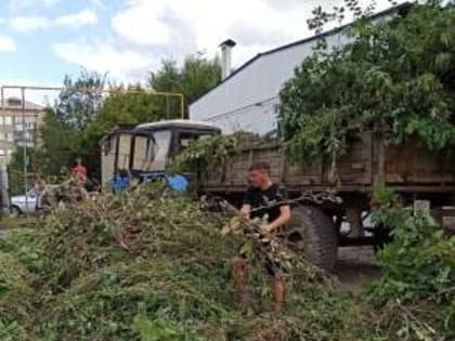 Показали пример