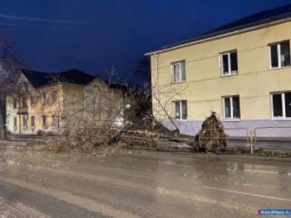 В центре Миасса дерево вырвало с корнем