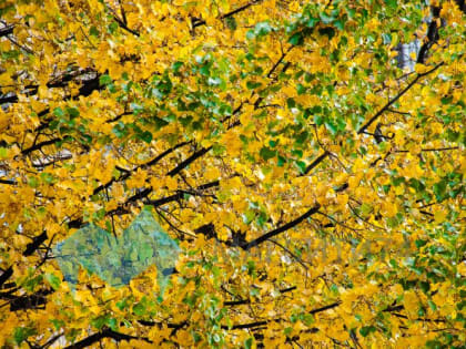 В Магнитогорске на выходных пойдет дождь