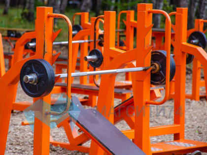 В Экологическом парке пройдет спортивный фестиваль «Семейная команда»