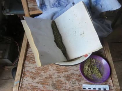 В Кизильском районе возбуждено уголовное дело по факту незаконного приобретения и хранения наркотического средства