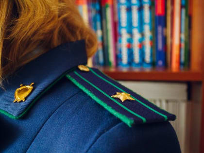 Прокуратура нашла виновного после падения остановки на ребёнка в Челябинске
