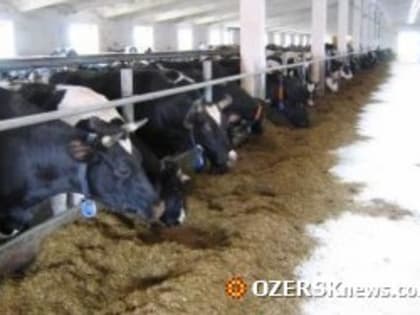 Сельские жители могут получить выплату по программе соцконтрактов