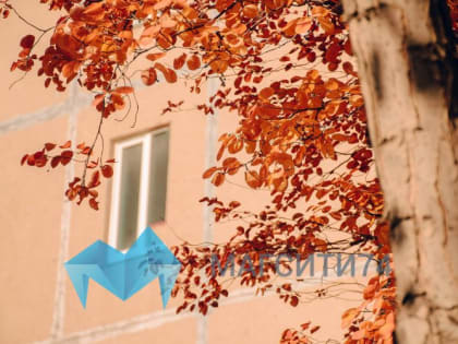 Бабье лето продолжится в Магнитогорске