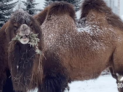 Анонсы событий и мероприятий на шестое марта (18+)