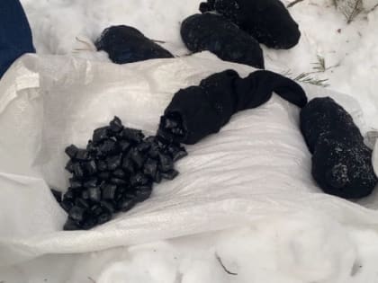 Полицейские Кыштыма обнаружили в лесу носки с тремя килограммами мефедорона