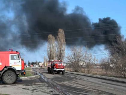 ФСБ: За неделю ВСУ более 100 раз обстреляли Брянскую, Курскую и Белгородскую области России