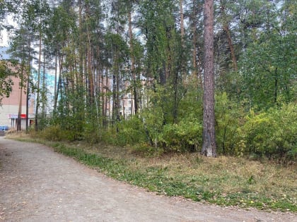 Итоги XVIII городского экологического пешего марша 
«Шаг навстречу»